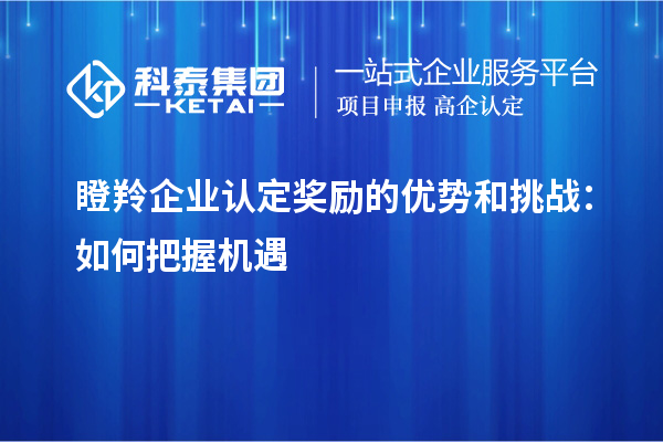 <a href=http://www.duckwijs.com/fuwu/dengling.html target=_blank class=infotextkey>瞪羚企業認定</a>獎勵的優勢和挑戰：如何把握機遇