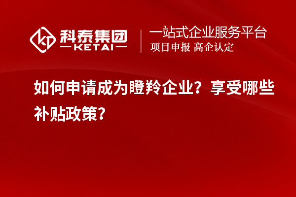 如何申請成為瞪羚企業?享受哪些補貼政策?