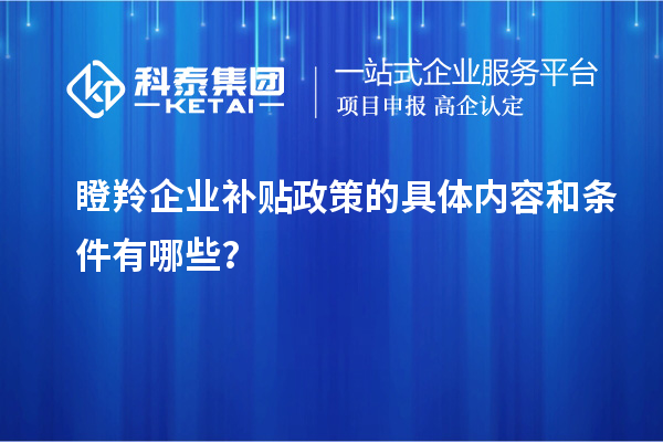 瞪羚企業補貼政策的具體內容和條件有哪些?