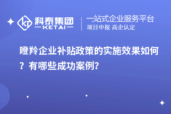 瞪羚企業(yè)補(bǔ)貼政策的實(shí)施效果如何？有哪些成功案例？