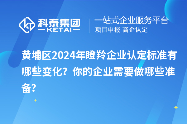 黃埔區2024年瞪羚企業認定標準有哪些變化？你的企業需要做哪些準備？