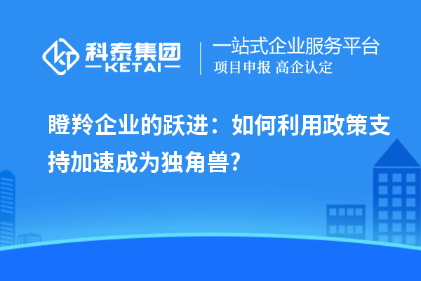瞪羚企業(yè)的躍進:如何利用政策支持加速成為獨角獸?