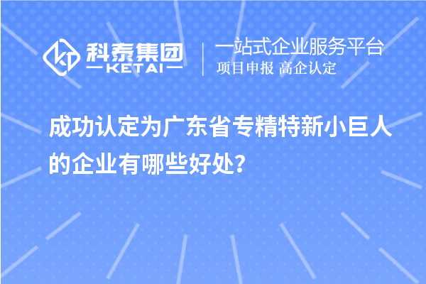 成功認定為廣東省專精特新小巨人的企業有哪些好處？