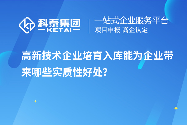 高新技術企業培育入庫能為企業帶來哪些實質性好處?