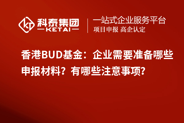 香港BUD基金:企業(yè)需要準(zhǔn)備哪些申報(bào)材料?有哪些注意事項(xiàng)?