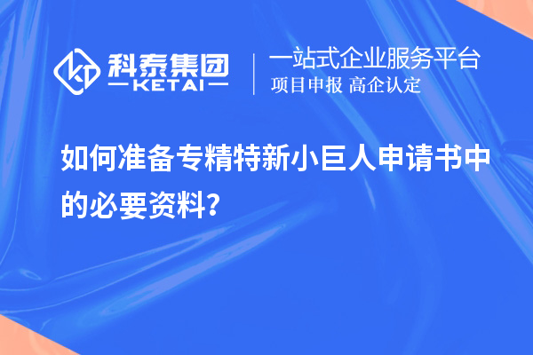 如何準備專精特新小巨人申請書中的必要資料？