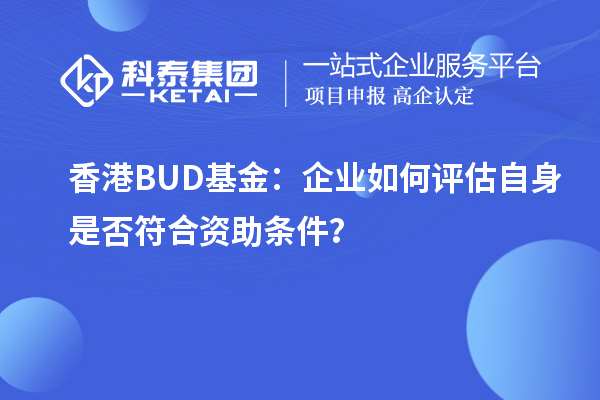 香港BUD基金:企業如何評估自身是否符合資助條件?