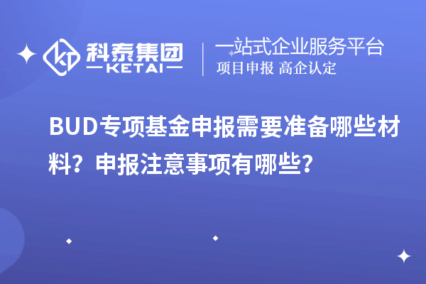 BUD專項基金申報需要準備哪些材料？申報注意事項有哪些？