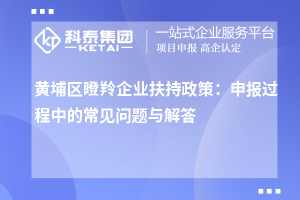 黃埔區瞪羚企業扶持政策:申報過程中的常見問題與解答