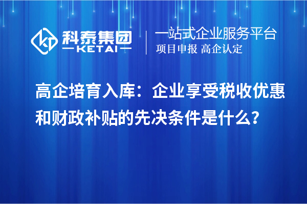 高企培育入庫:企業享受稅收優惠和財政補貼的先決條件是什么?