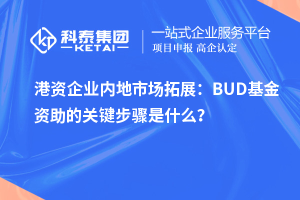 港資企業內地市場拓展:BUD基金資助的關鍵步驟是什么?
