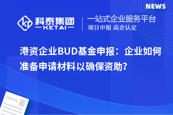 港資企業(yè)BUD基金申報：企業(yè)如何準(zhǔn)備申請材料以確保資助？