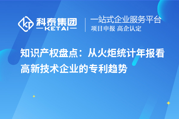 知識產權盤點:從火炬統計年報看高新技術企業的專利趨勢