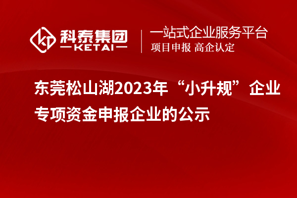 東莞松山湖2023年“小升規”企業專項資金申報企業的公示