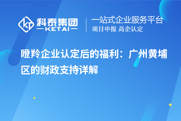 瞪羚企業(yè)認(rèn)定后的福利:廣州黃埔區(qū)的財政支持詳解