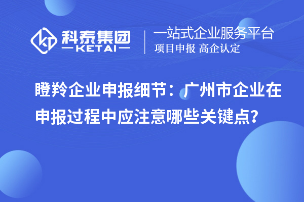 瞪羚企業申報細節:廣州市企業在申報過程中應注意哪些關鍵點?