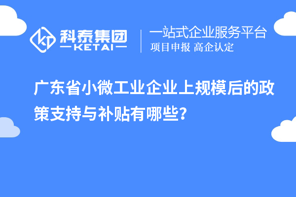 廣東省小微工業(yè)企業(yè)上規(guī)模后的政策支持與補貼有哪些？