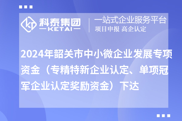 2024年韶關市中小微企業發展專項資金(專精特新企業認定、單項冠軍企業認定獎勵資金)下達