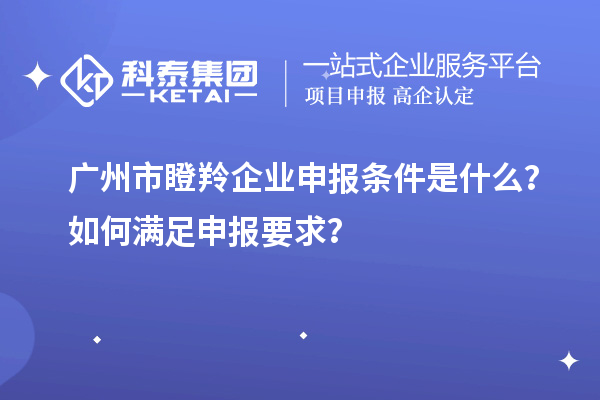 廣州市瞪羚企業(yè)申報(bào)條件是什么?如何滿足申報(bào)要求?