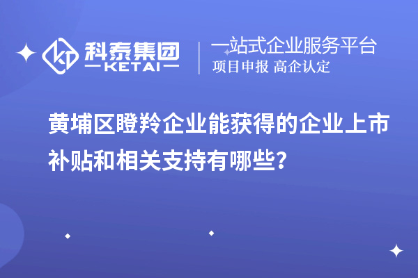 黃埔區瞪羚企業能獲得的企業上市補貼和相關支持有哪些?
