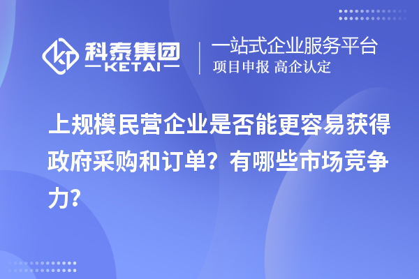 上規(guī)模民營企業(yè)是否能更容易獲得政府采購和訂單?有哪些市場競爭力?