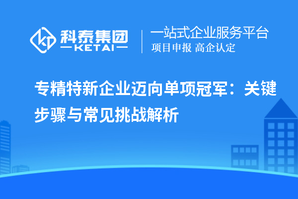 專精特新企業邁向單項冠軍:關鍵步驟與常見挑戰解析