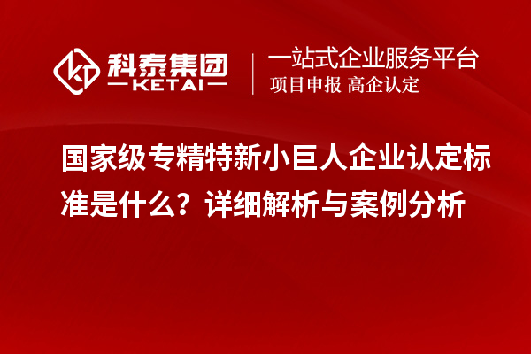 國家級專精特新小巨人企業認定標準是什么?詳細解析與案例分析
