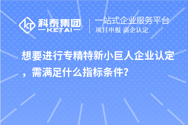 想要進行專精特新小巨人企業認定，需滿足什么指標條件？