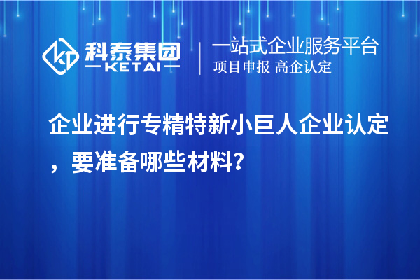 企業進行專精特新小巨人企業認定，要準備哪些材料？