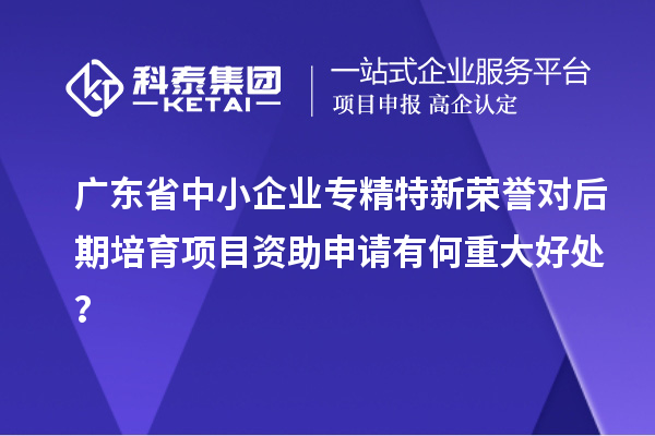 廣東省中小企業(yè)專精特新榮譽對后期培育項目資助申請有何重大好處？