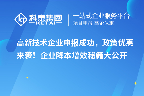 高新技術企業(yè)申報成功，政策優(yōu)惠來襲！企業(yè)降本增效秘籍大公開