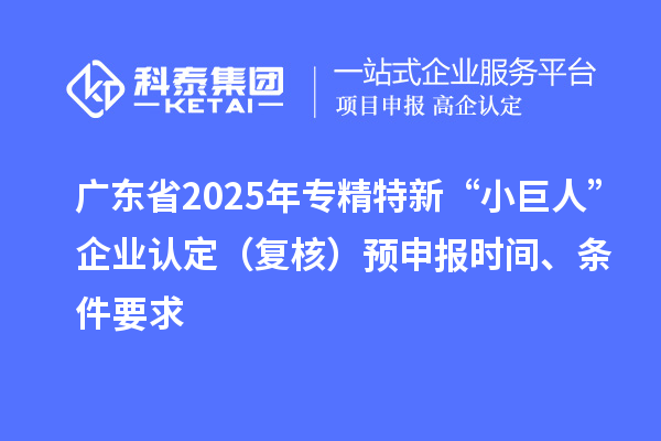 廣東省2025年專精特新“小巨人”企業(yè)認(rèn)定(復(fù)核)預(yù)申報(bào)時間、條件要求