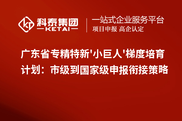 廣東省專精特新'小巨人'梯度培育計劃：市級到國家級申報銜接策略