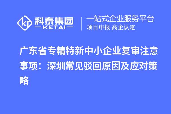 廣東省專精特新中小企業復審注意事項：深圳常見駁回原因及應對策略