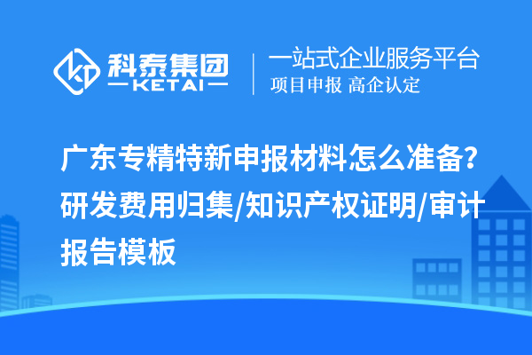 廣東專精特新申報材料怎么準備？研發費用歸集/知識產權證明/審計報告模板