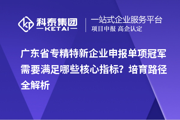 廣東省專精特新企業申報單項冠軍需要滿足哪些核心指標?培育路徑全解析