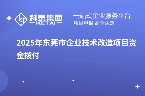 2025年東莞市企業技術改造項目資金撥付