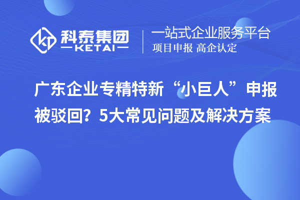 廣東企業專精特新“小巨人”申報被駁回？5大常見問題及解決方案