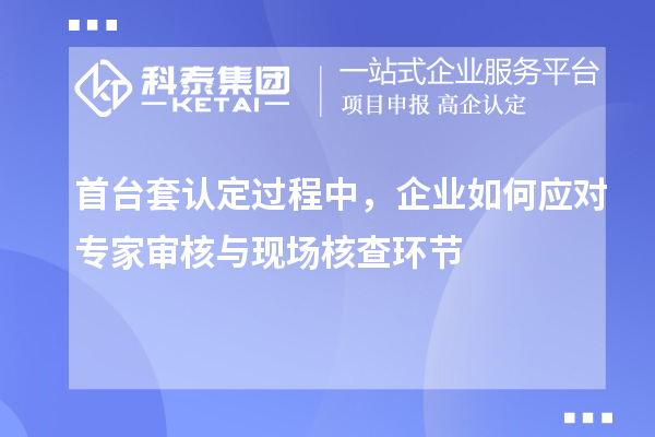 首臺套認定過程中，企業如何應對專家審核與現場核查環節