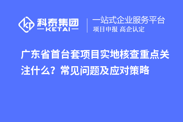 廣東省首臺套項目實地核查重點關注什么?常見問題及應對策略