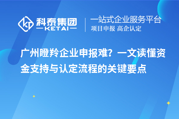 廣州瞪羚企業(yè)申報難？一文讀懂資金支持與認定流程的關(guān)鍵要點