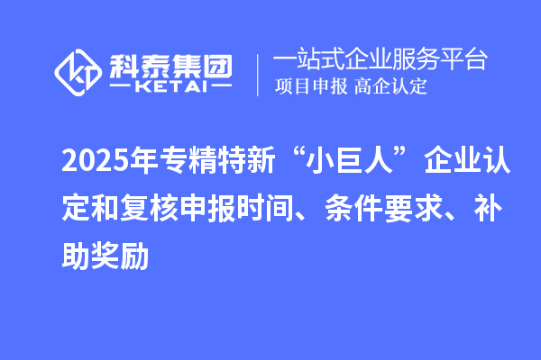 2025年專精特新“小巨人”企業認定和復核申報時間、條件要求、補助獎勵