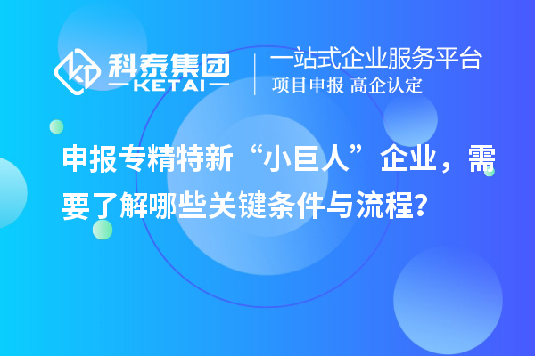 申報專精特新“小巨人”企業,需要了解哪些關鍵條件與流程?