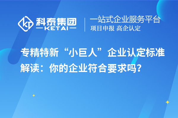 專精特新“小巨人”企業認定標準解讀:你的企業符合要求嗎?