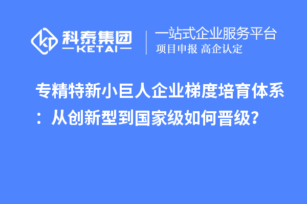 專精特新小巨人企業(yè)梯度培育體系:從創(chuàng)新型到國家級如何晉級?