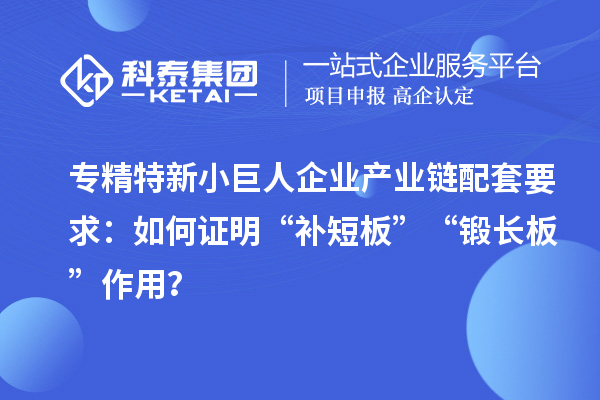 專精特新小巨人企業(yè)產(chǎn)業(yè)鏈配套要求:如何證明“補(bǔ)短板”“鍛長板”作用?
