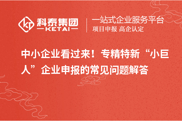 中小企業(yè)看過來!專精特新 “小巨人” 企業(yè)申報(bào)的常見問題解答