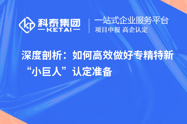 深度剖析:如何高效做好專精特新“小巨人”認(rèn)定準(zhǔn)備