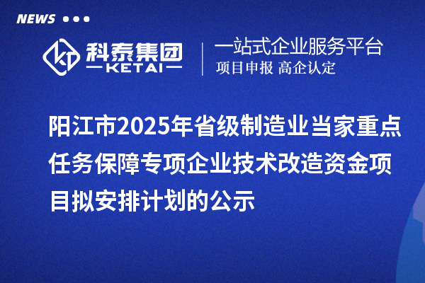 陽江市2025年省級制造業當家重點任務保障專項企業技術改造資金項目擬安排計劃的公示