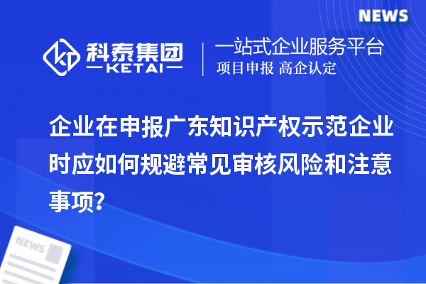 企業在申報廣東知識產權示范企業時應如何規避常見審核風險和注意事項?